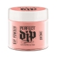 #2600265 Artistic Perfect Dip Coloured Powders " Summer Stunner " ( Coral Crème )    0.8 oz.